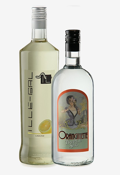 Ille-gal Cosmopolitan